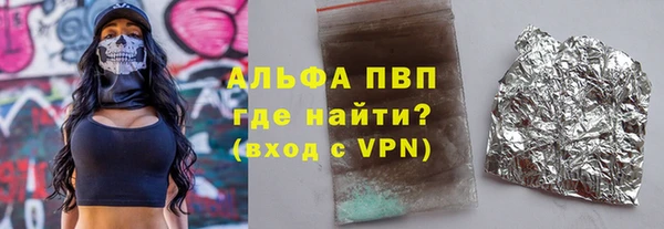 молекула духа Осташков