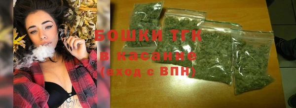молекула духа Осташков