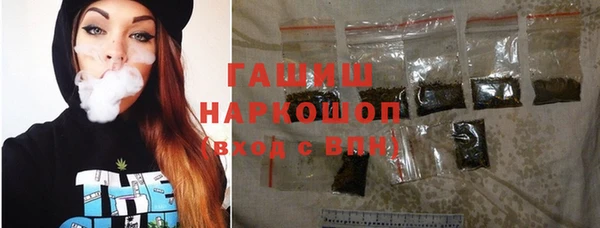 молекула духа Осташков