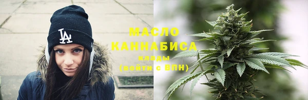 молекула духа Осташков