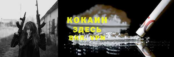 молекула духа Осташков