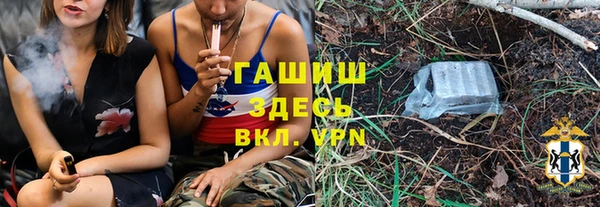 молекула духа Осташков