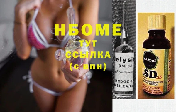 молекула духа Осташков