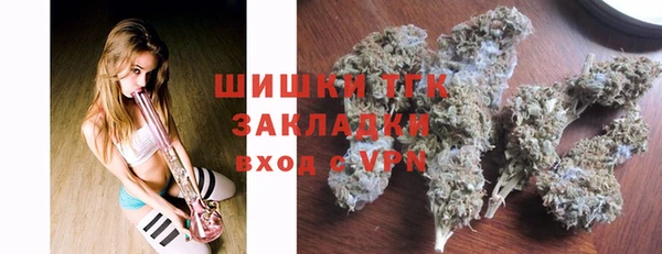 молекула духа Осташков