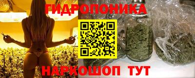 прущие крисы Волжск