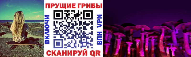Псилоцибиновые грибы ЛСД продажа наркотиков Ейск