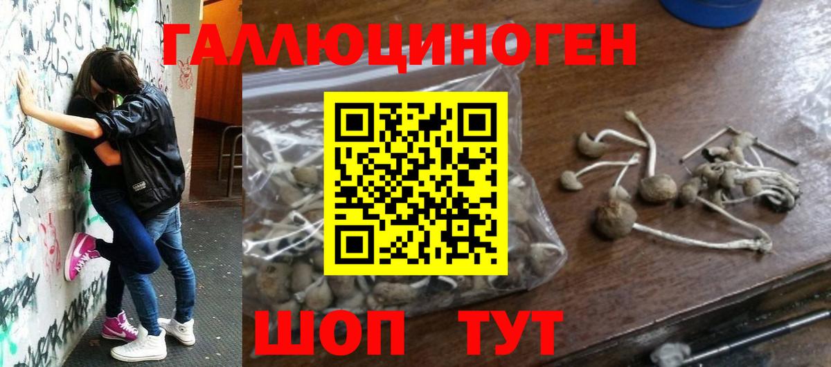 Псилоцибиновые грибы Magic Shrooms  Псилоцибиновые грибы мухоморы  Ейск 